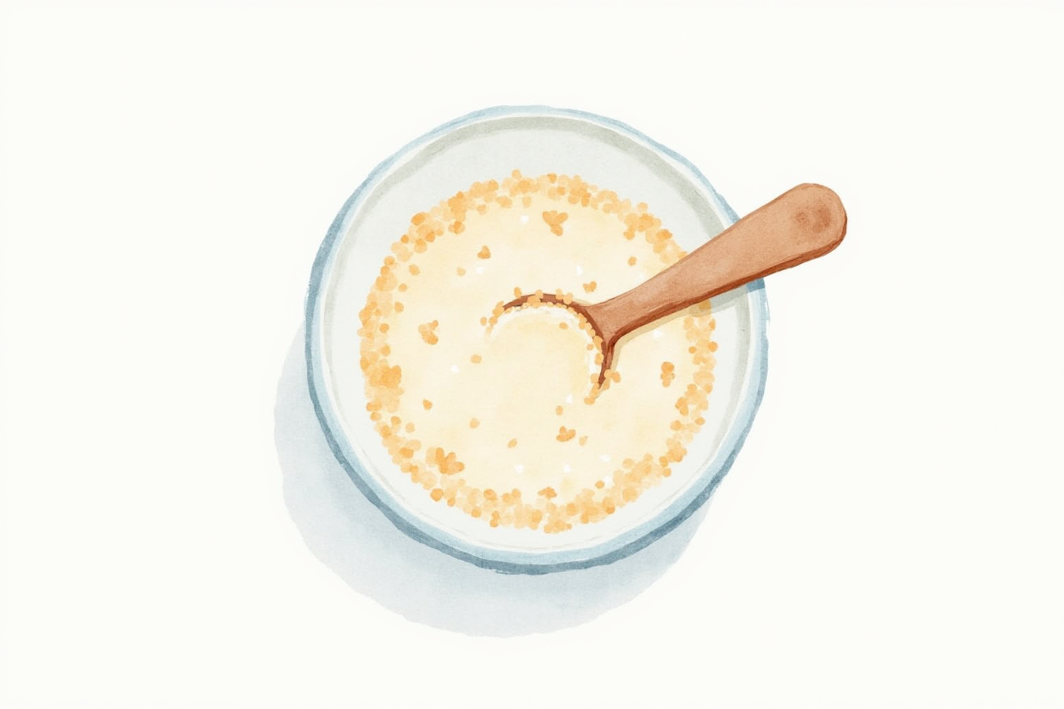 이유식 단계별 진행 — 초기·중기·후기·완료기 식단표